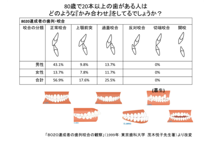 前歯の役割と歯の寿命